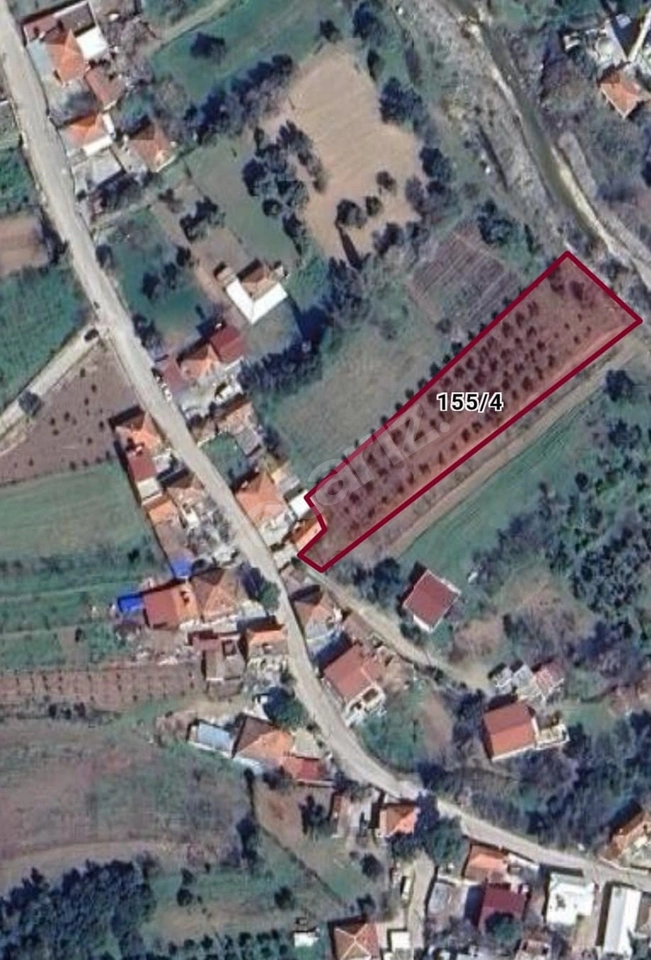 Arslan'dan Menderes Çatalca'da Zeytin Ağaçlı 2375m² SatılıkTarla