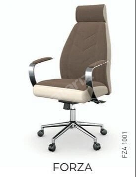 AKBÜRO FORZA MÜDÜR KOLTUĞU