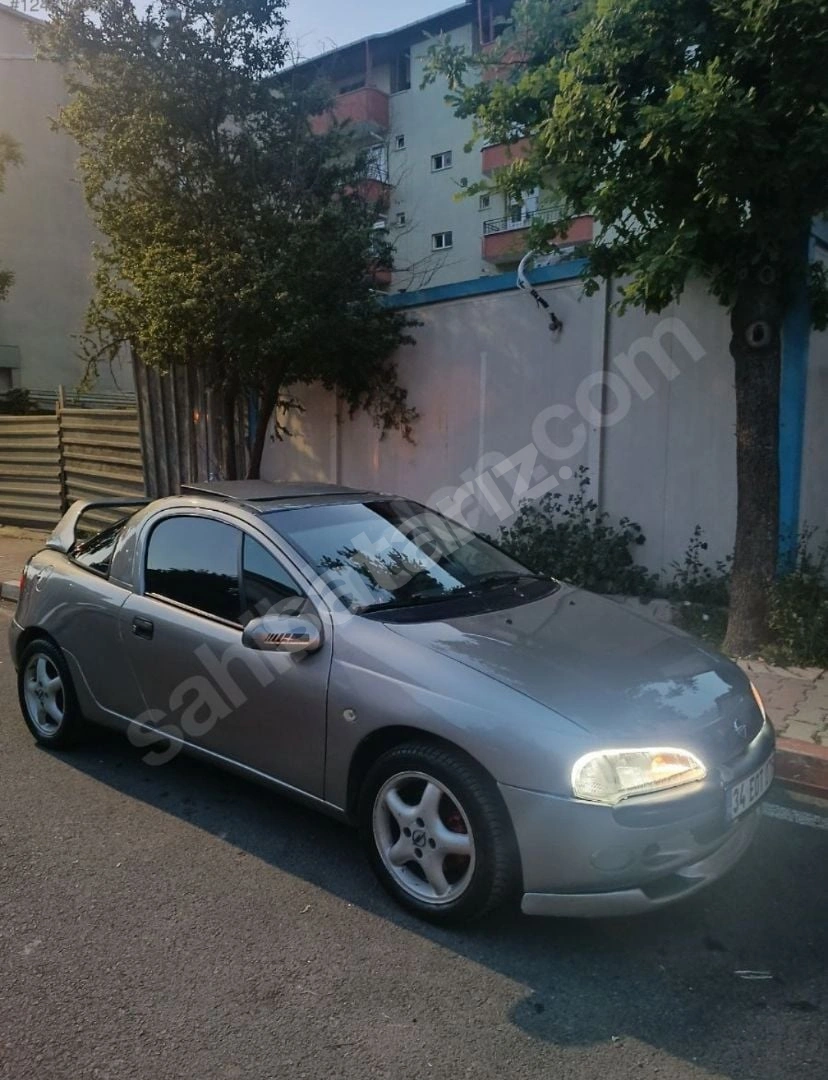 Çok Diri Ve Çok Temiz Tigra