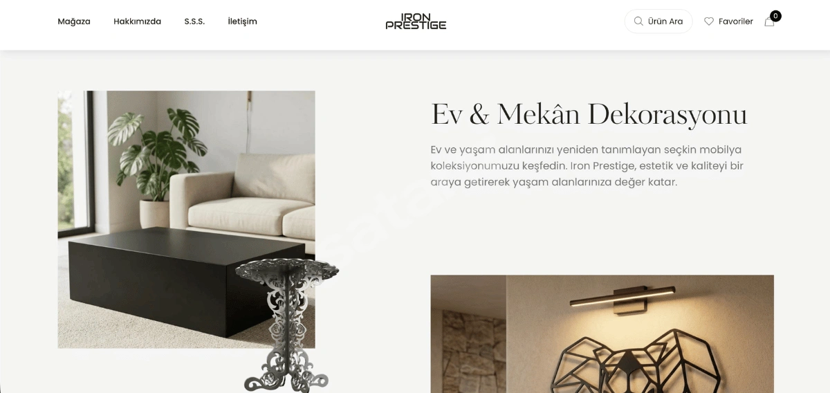 Web Tasarım ve Geliştirme Hizmeti