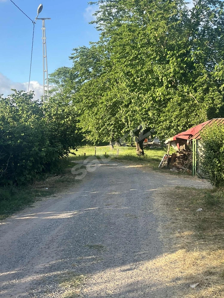 KARASU YUVALIDERE MH SATILIK VERİMLİ FINDIK BAHÇESİ