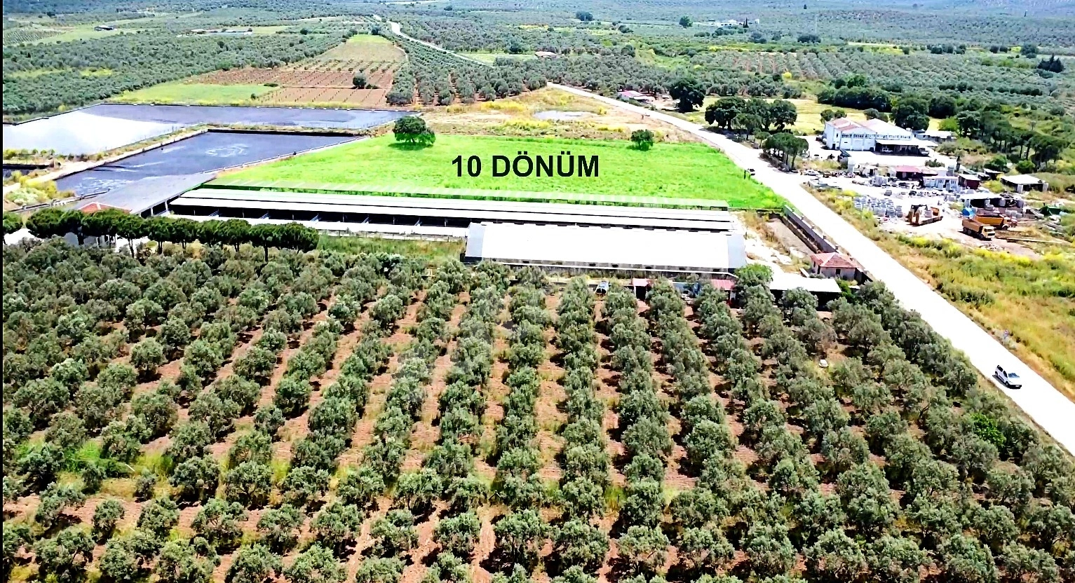 RW NEFESTEN GÖMEÇ'TE, İMARIN DİBİNDE FIRSAT 10 DÖNÜM TARLA