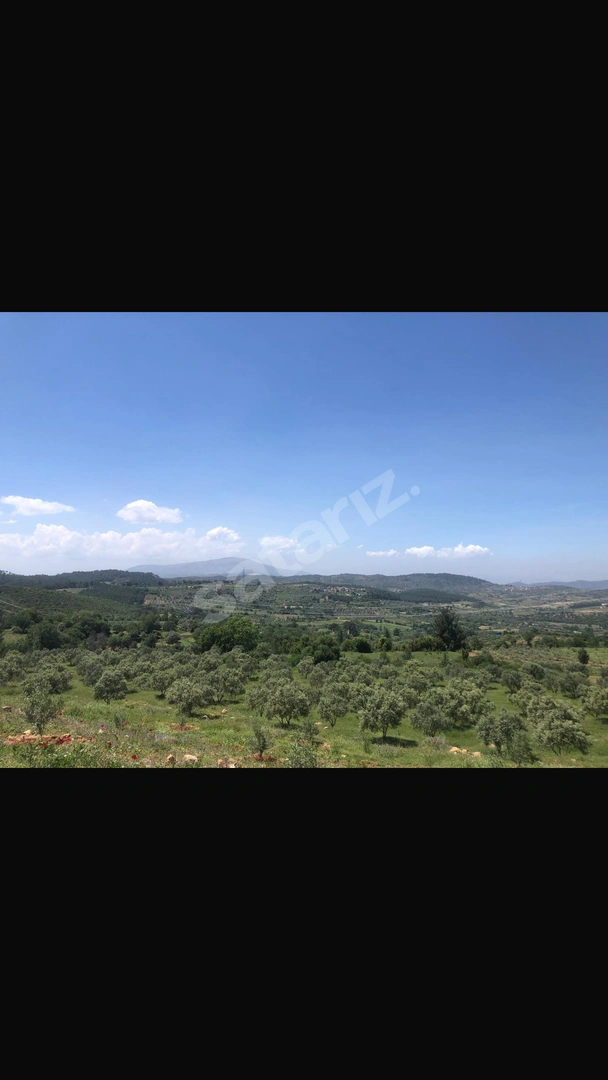 Muğla/Yatağan/Kadıköy