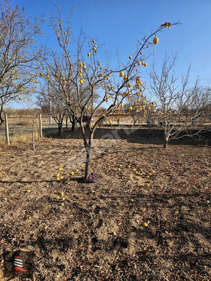 SUSUZÖREN KOYUNDE 1319 ARSA UZERİNDE SATLIK ÇİFTLIK EVİ