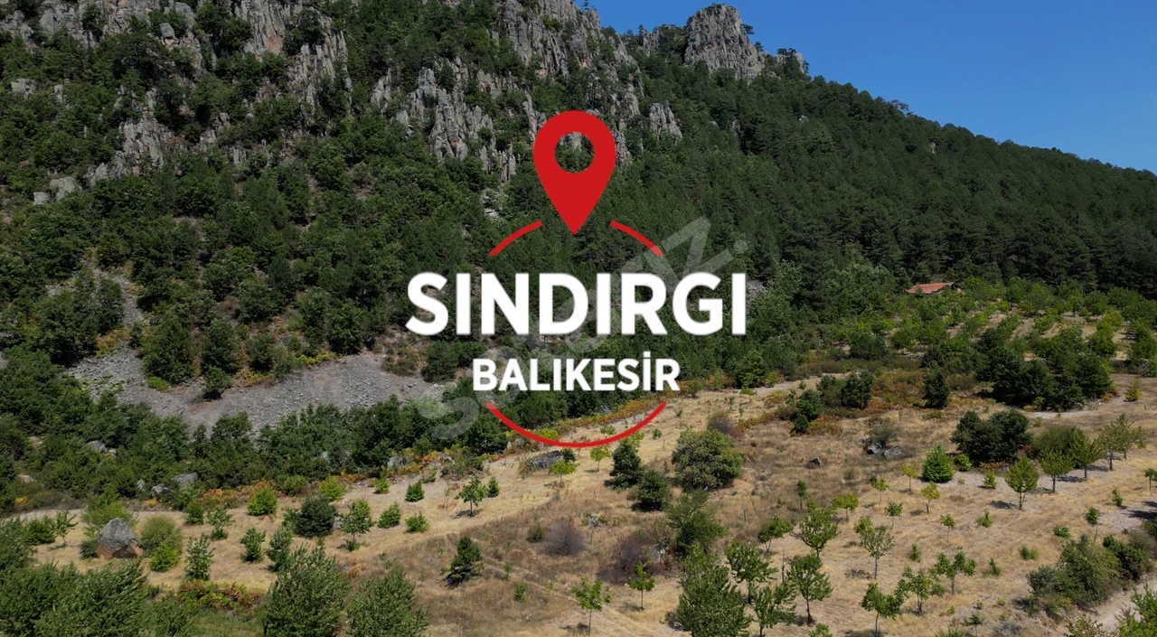 SINDIRGI ÇAYIR MAHALLESİNDE 12.920 M2 SATILIK 3 PARSEL TARLA