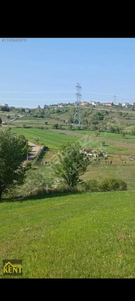 Gebze Denizköy'de %40 İmarı Kesilmiş 220 m² Acil Satılık Arsa