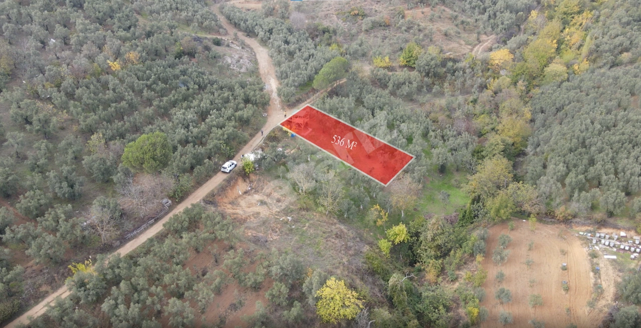 ELBİR EMLAK'TAN ÇAKIRLI'DA BAKIMLI MANZARALI ZEYTİNLİK