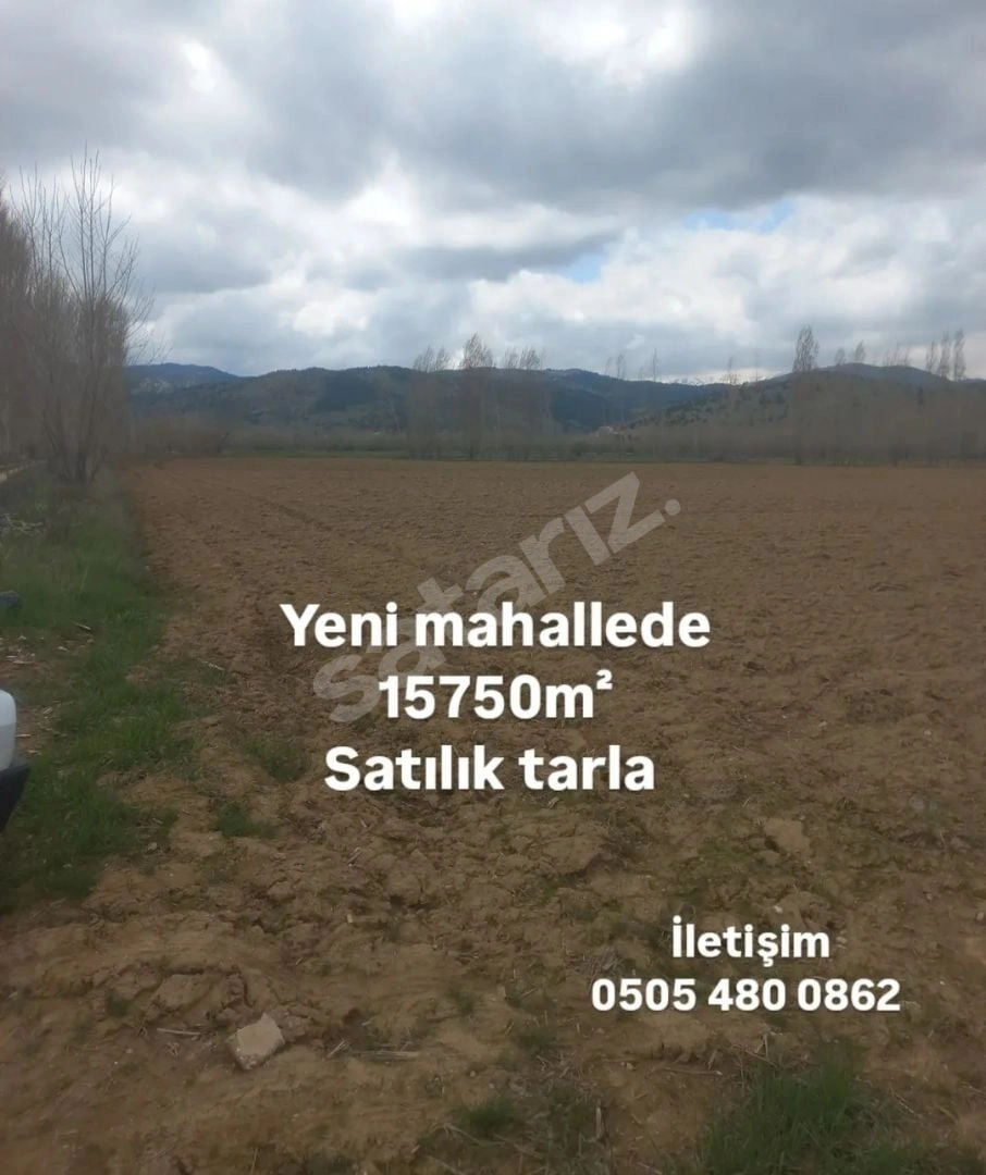 KAHRAMANMARAŞ GÖKSUN YENİ MAHALLEDE SATILIK TARLA