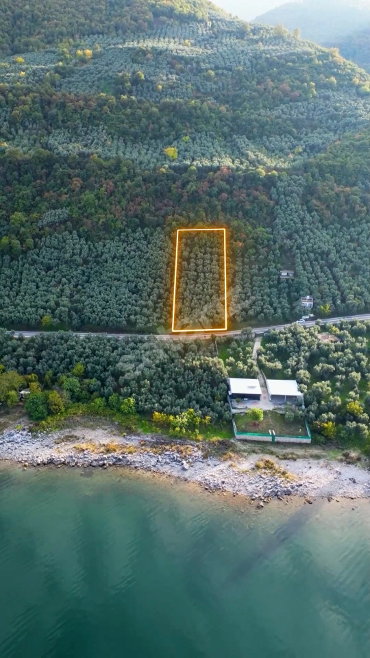 KALEDEN NARLICADA ASFALT CEPHELİ GÖLE 50mt MANZARALI ZEYTİNLİK