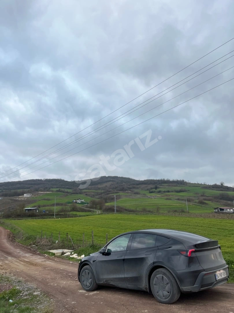 TESLA MODEL Y HATASIZ BOYASIZ TRAMERSİZ