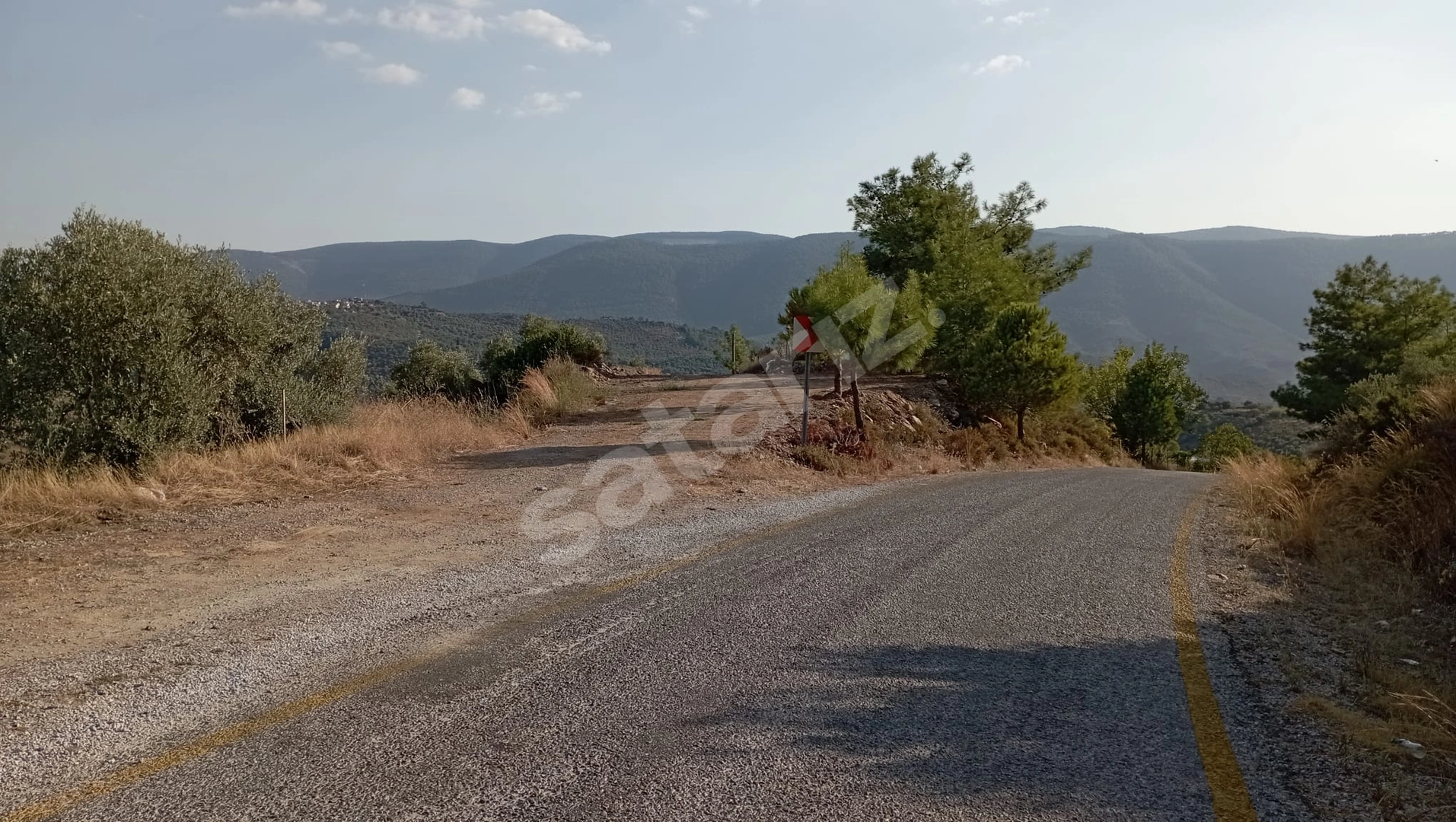 20600 m² zeytin çiftliği kurmaya uygun Arazi
