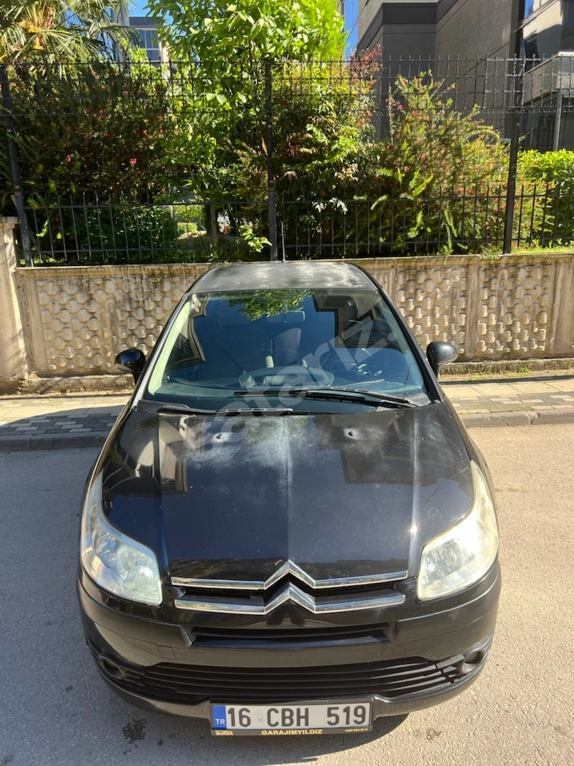 OTOMATIK VİTES 110 HP