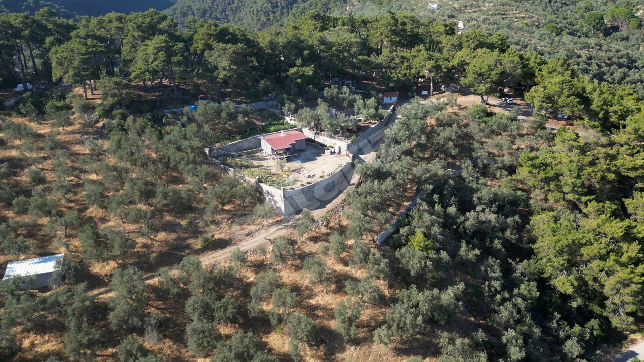DOYRAN KÖYÜ’NDE %40 KÖY İMARINDA SATILIK ARSA