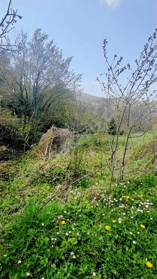 DERELERİN AKTIĞI AĞAÇLAR İÇİNDE HAYAL GİBİ ARSA
