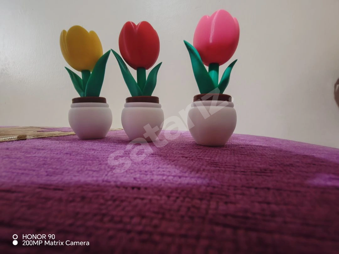 3'lü Clicker Lale Biblo