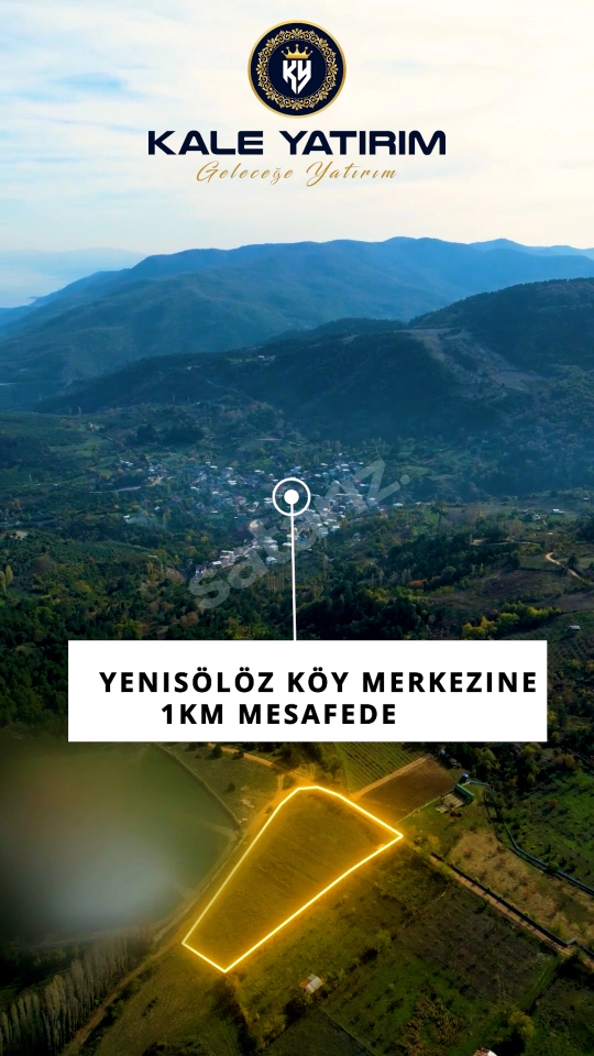 KALEDEN ÇAM ORMANLARANIN İÇERİSİNDE DOĞA MANZARALI TARLA
