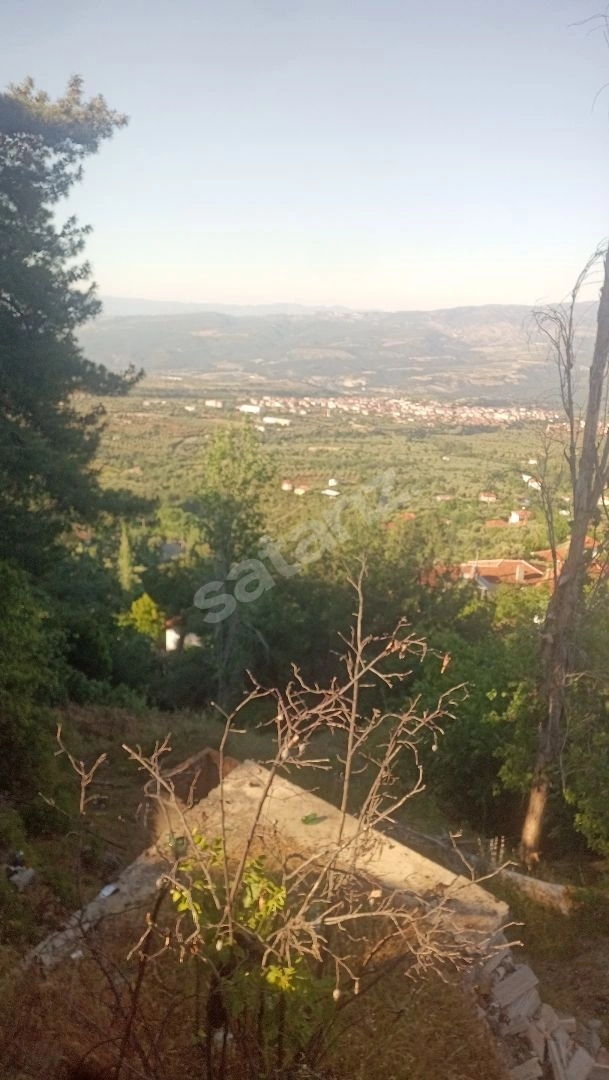 KARACASU BALLIPINAR Yayla'sında SATILIK ARSA
