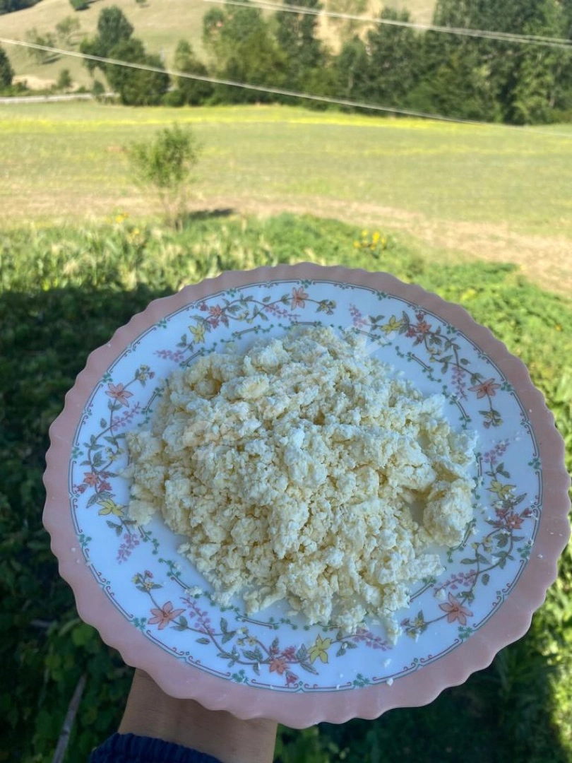 ORGANİK ÇÖKELEK