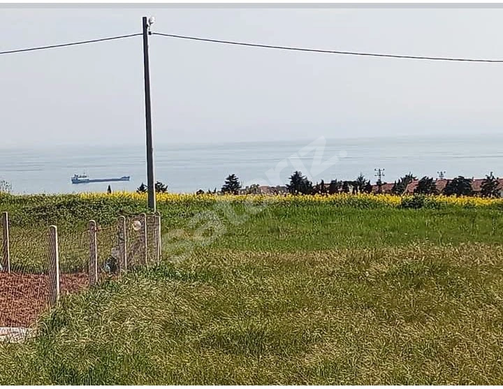 MARMARAEREĞLİSİ DEREAĞZINDA MUHTEŞEM DENİZ MANZARALI İMARLI ARSA