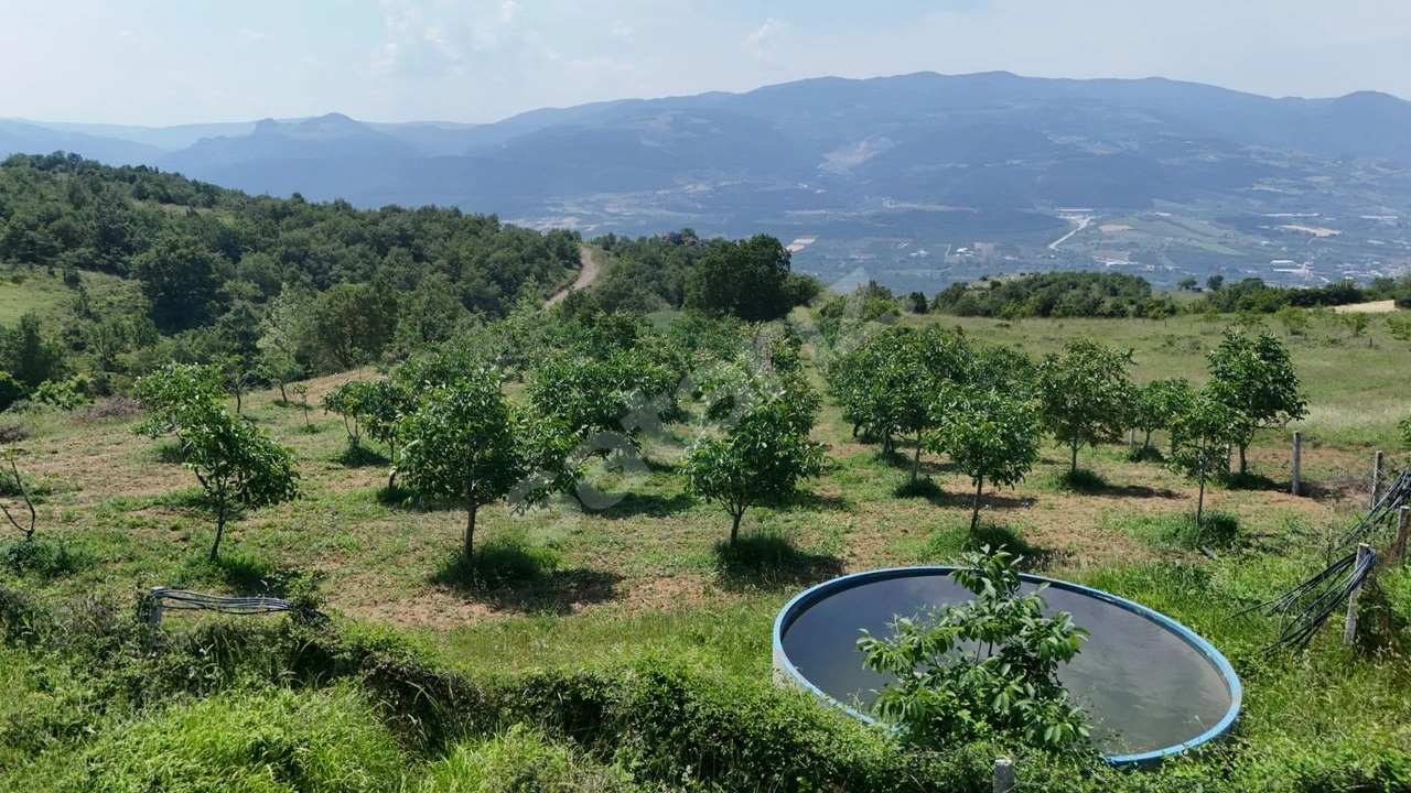SAKARYA EŞME 2982 M2 RESMİ YOL SU KUYUSU VERİMLİ CEVİZ BAHÇESİ