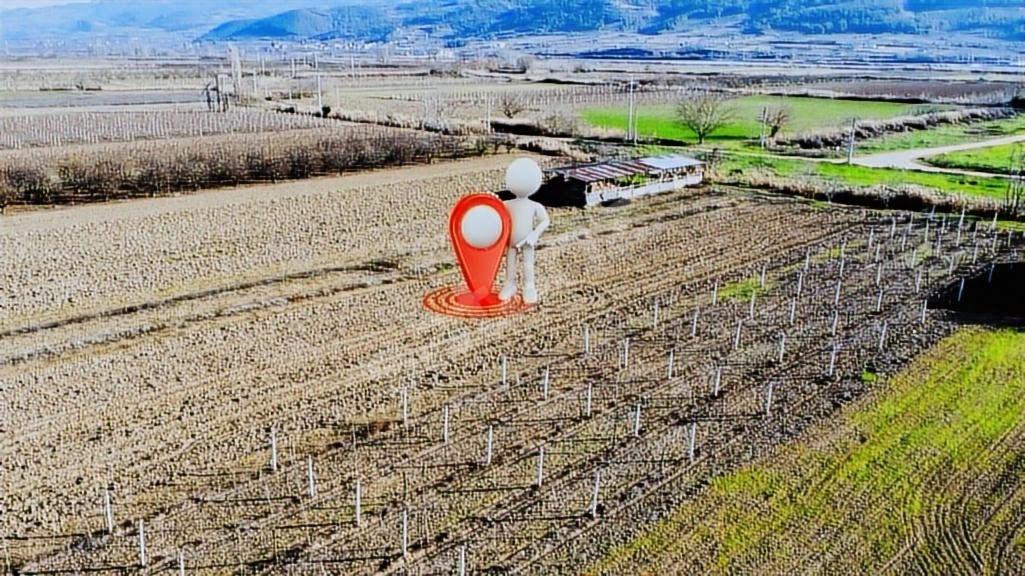 Sakarya Pamukova Cihadiye'de 4000 m² Ceviz Ağaçlı Tarla