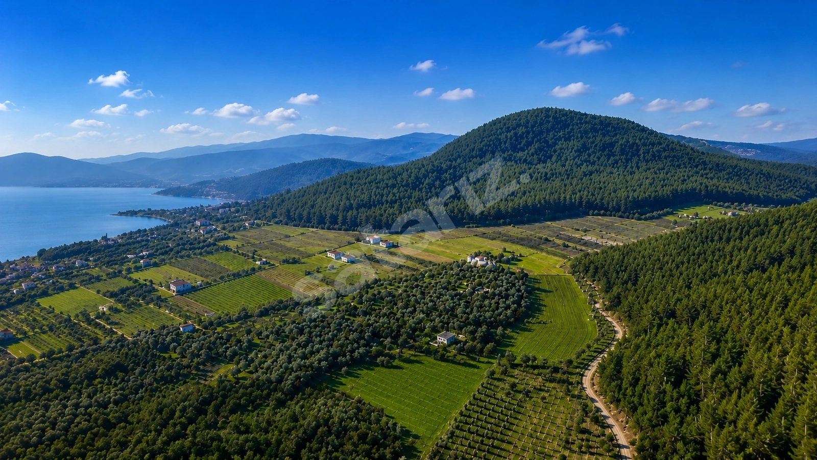 KUŞADASI KIRAZLIDA TEK TAPU ARAZI