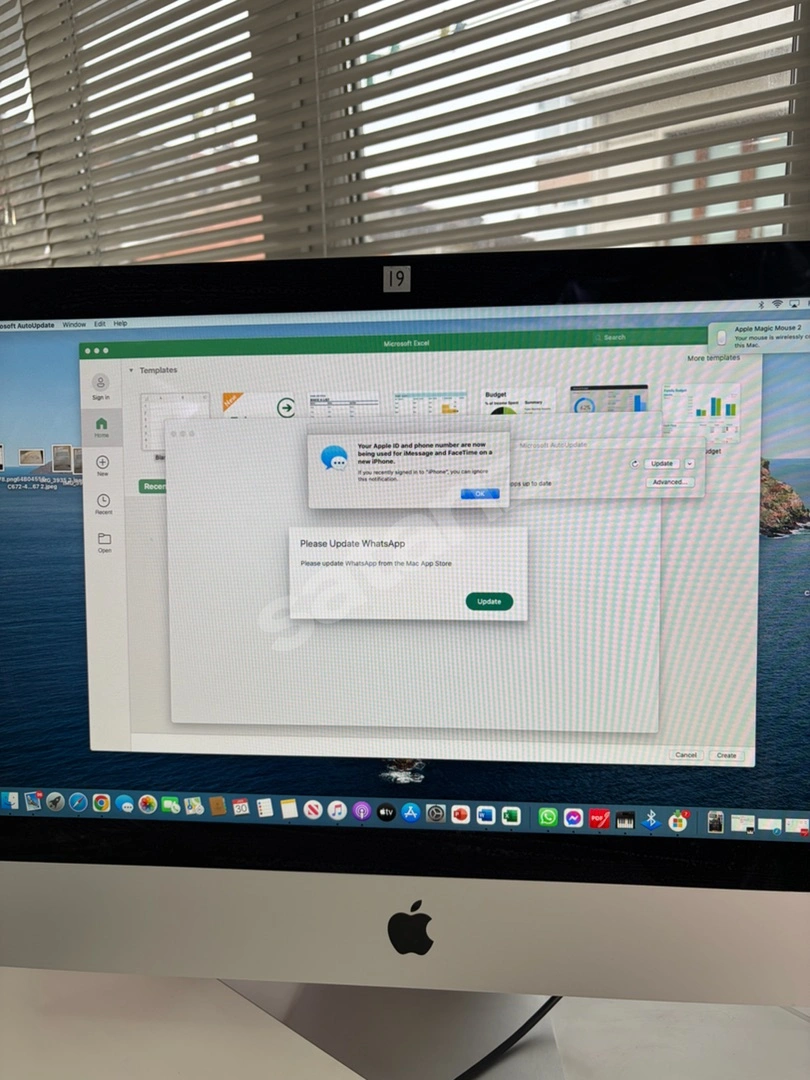 APPLE MAC
