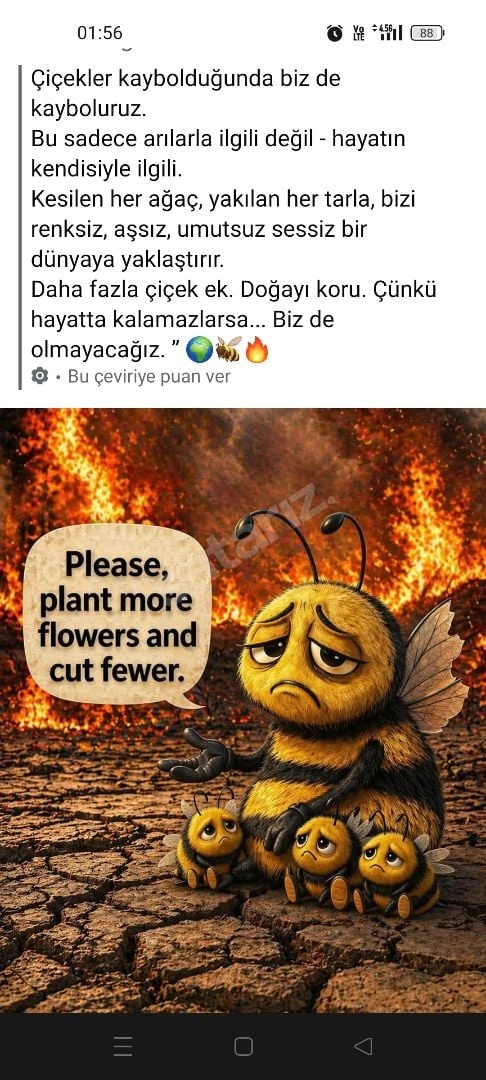 Uşak Yıldız servis Arı.