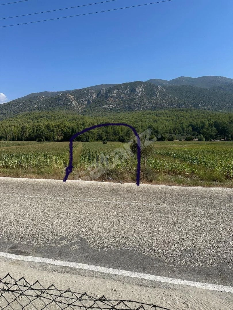 Kaş Sahilpalamut Satılık Kelepir