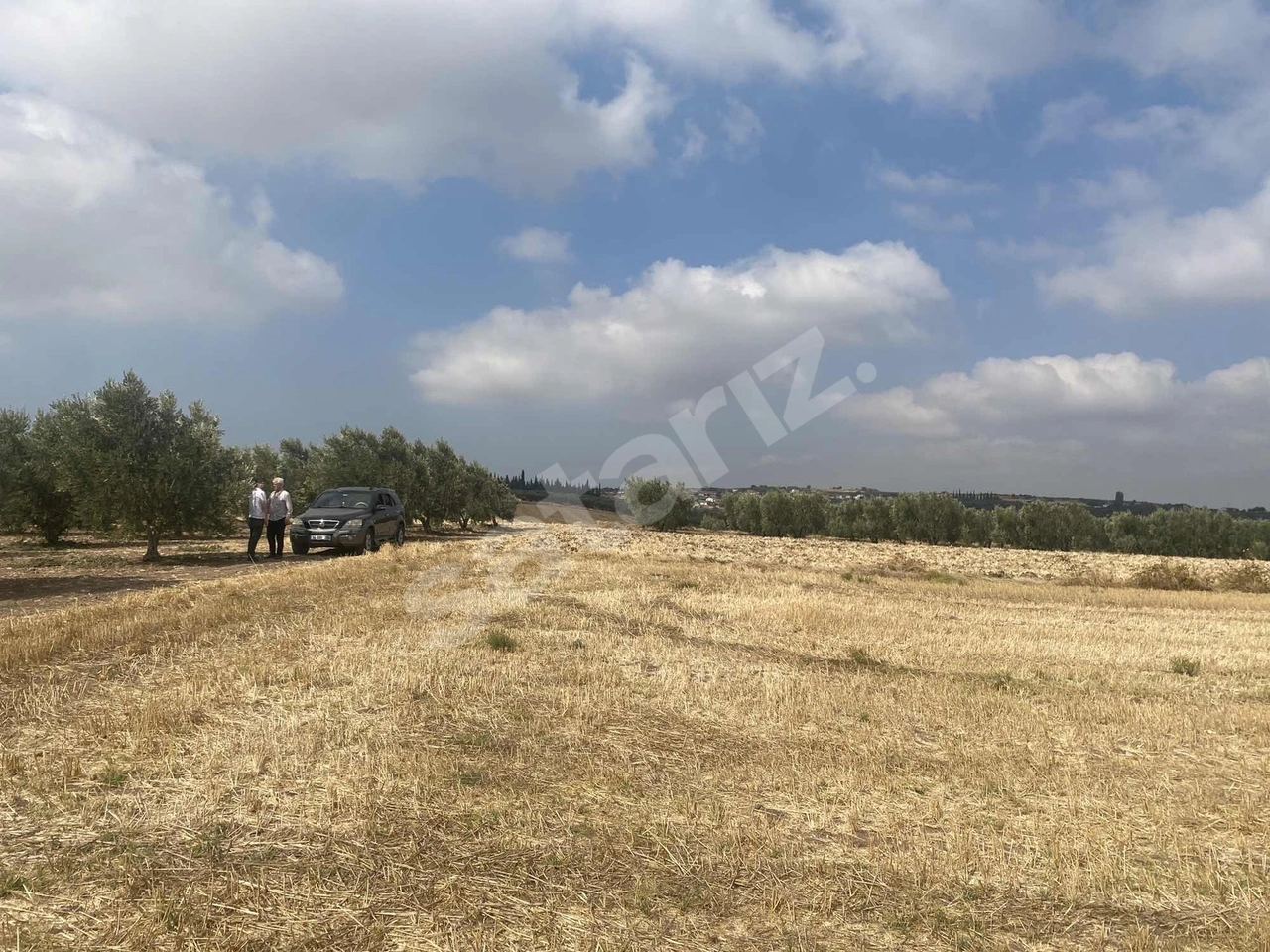 BURSA KARACABEY DANİŞMENT ASFALT YOLA 50 METRE MESAFEDE TARLA
