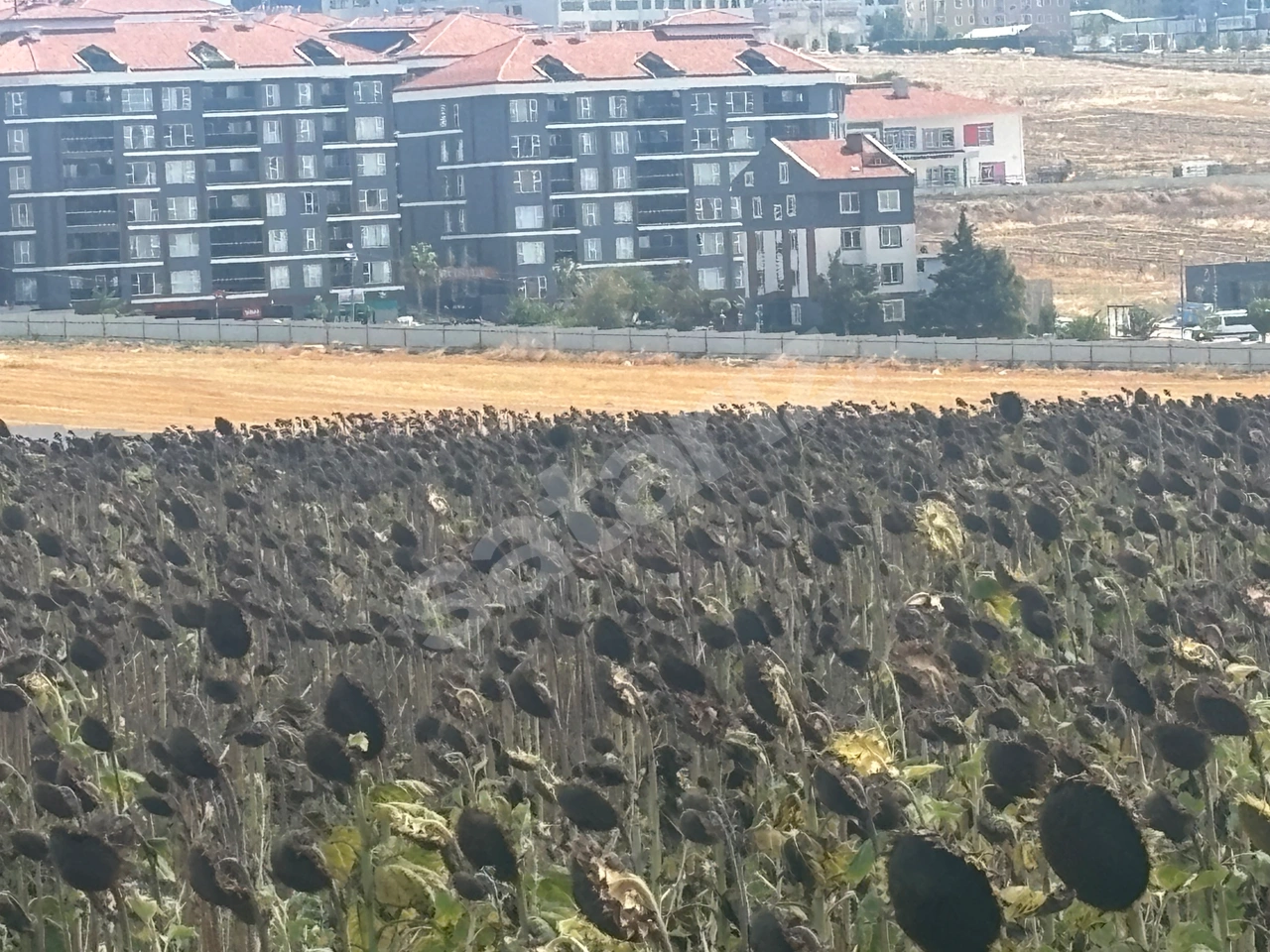 SİLİVRİ YENİ MAHALEDE KAT KARŞILIĞI TİCARİ+KONUT İMARLI ARSA