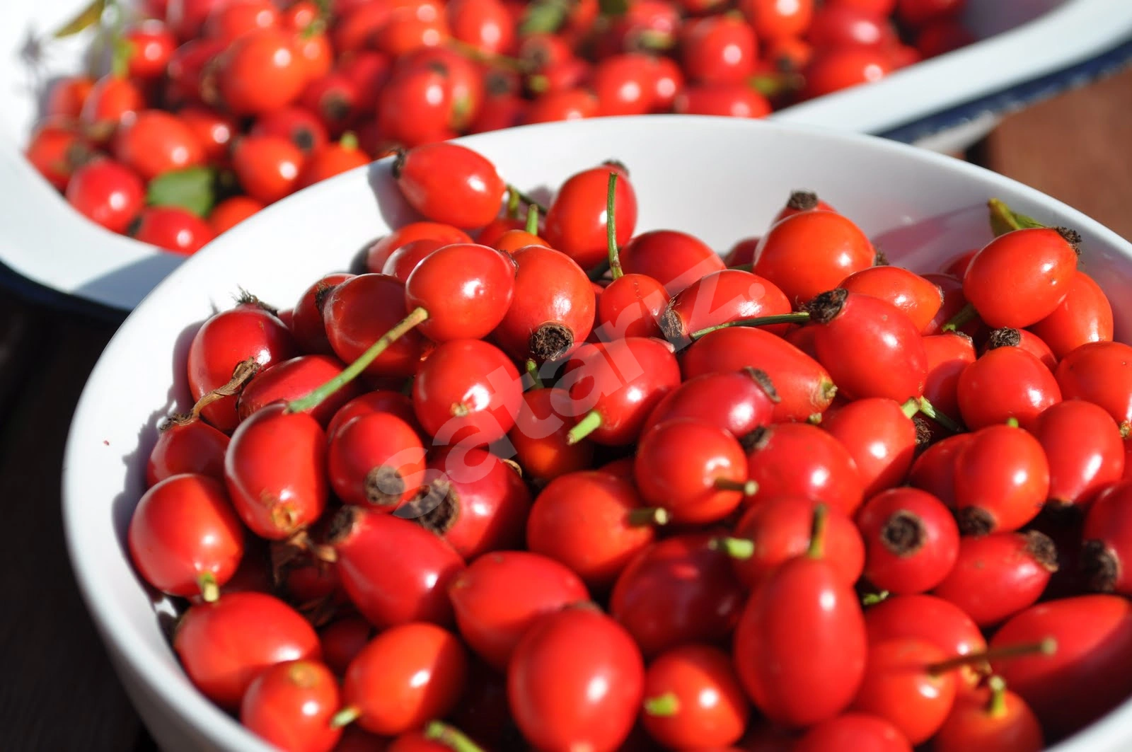 KUŞBURNU ORGANİK MEYVE ÇAY VE MARMELAT İÇİN KG: 500 tl